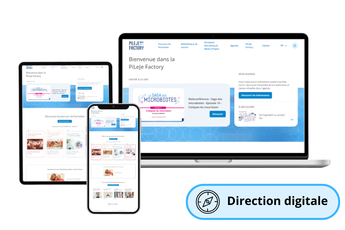 propileje pilotage digital